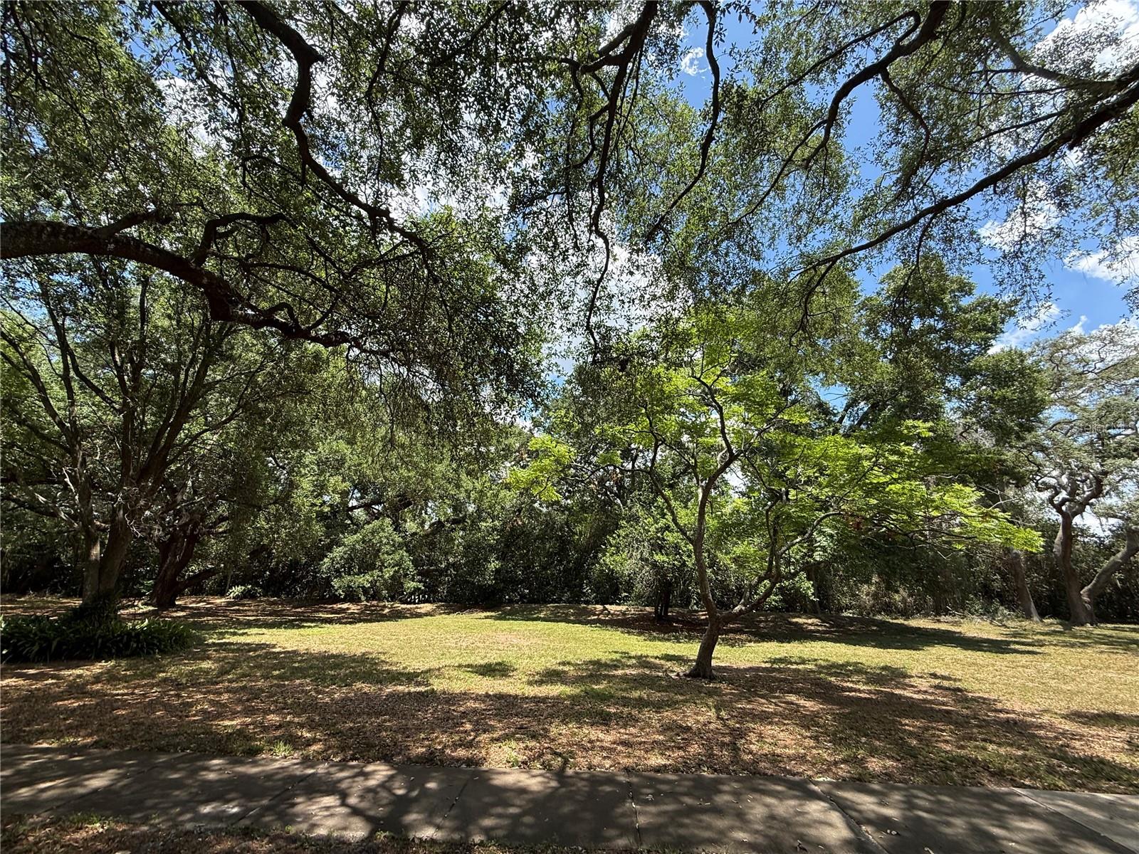 6322 TREETOP CIR — photo 35