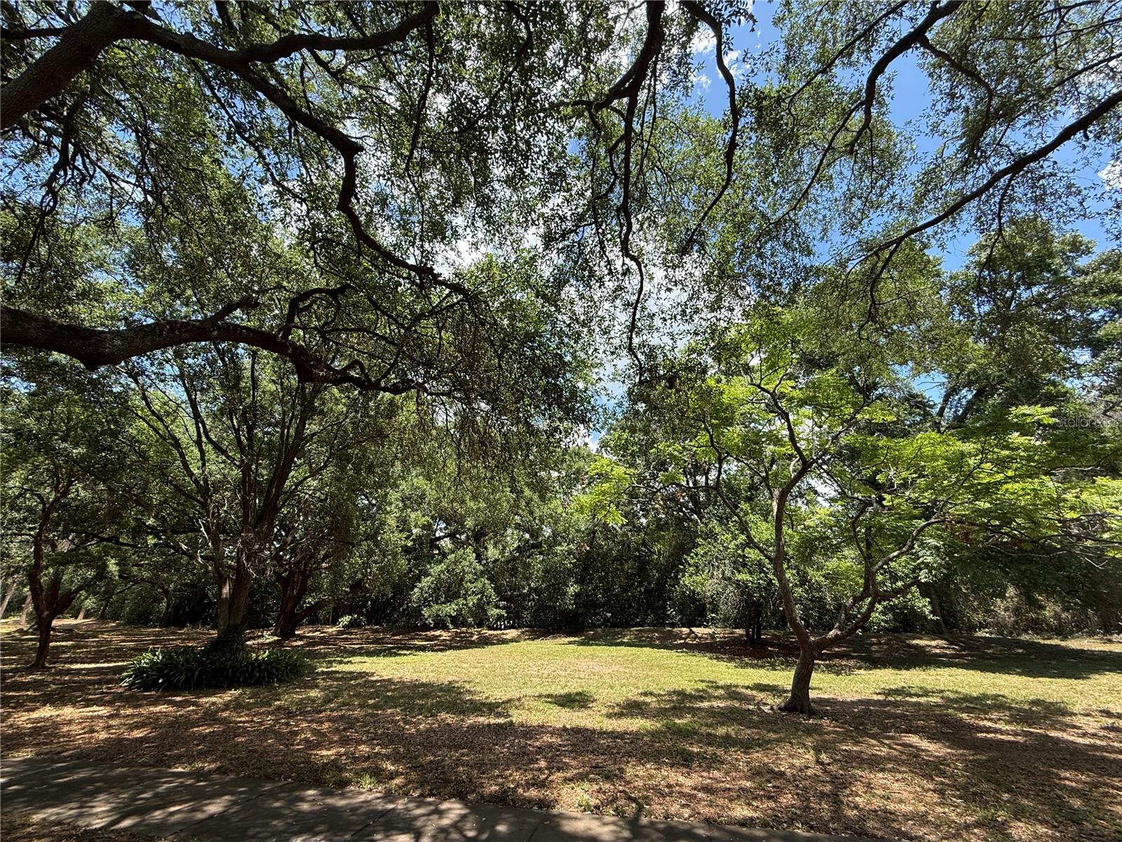 6322 TREETOP CIR — photo 31