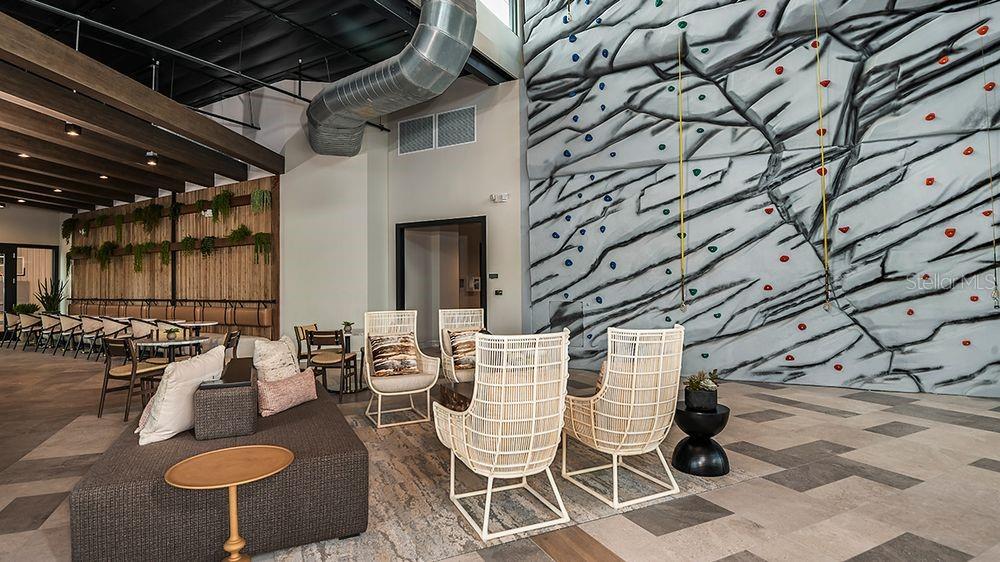 7805 CENTAURUS WAY — photo 30