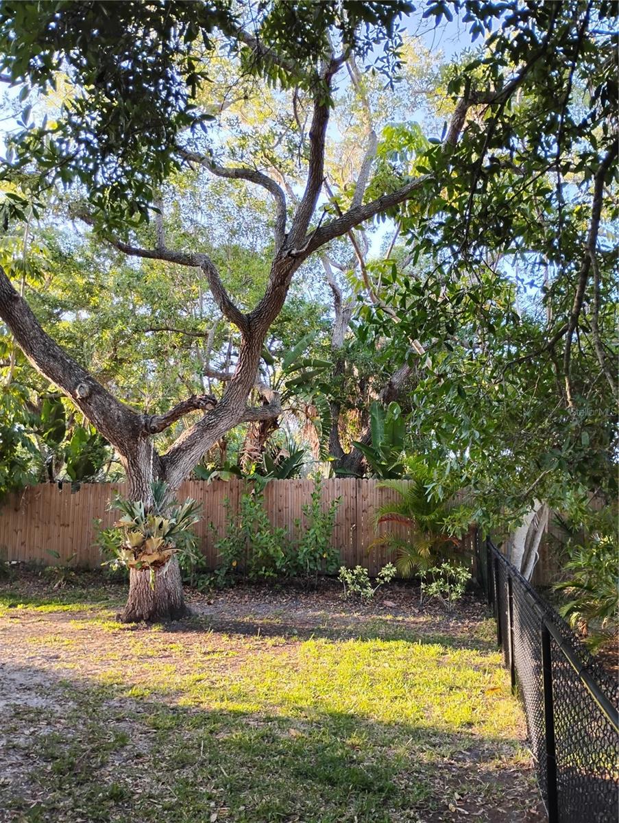 1720 FOSSIL DR — photo 96