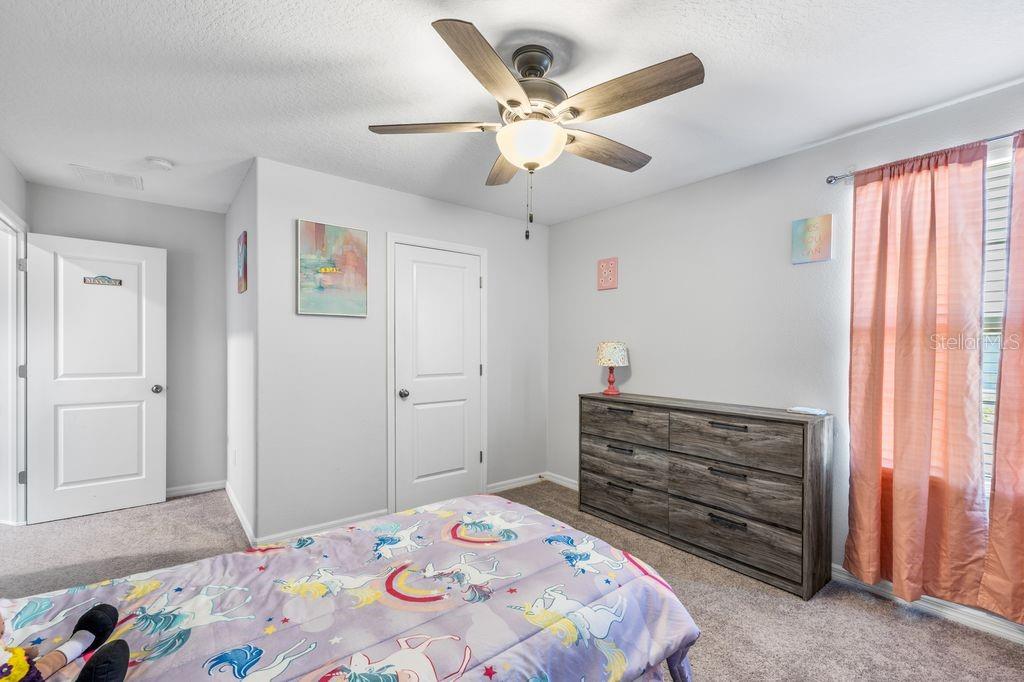 3703 GLOBE THISTLE DR — photo 20