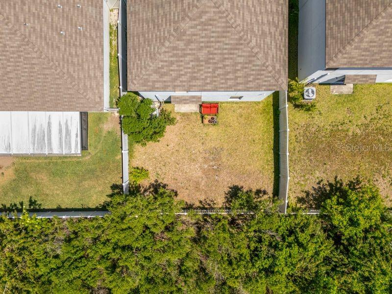 3703 GLOBE THISTLE DR — photo 29