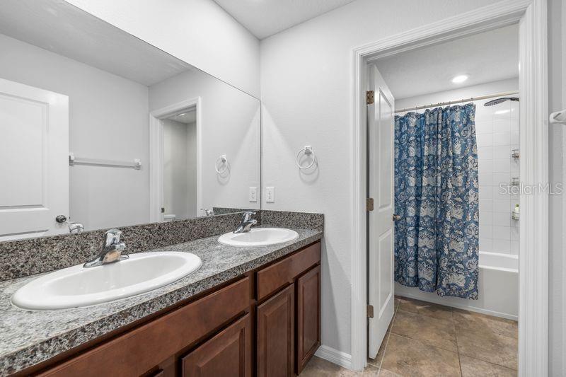 3703 GLOBE THISTLE DR — photo 17
