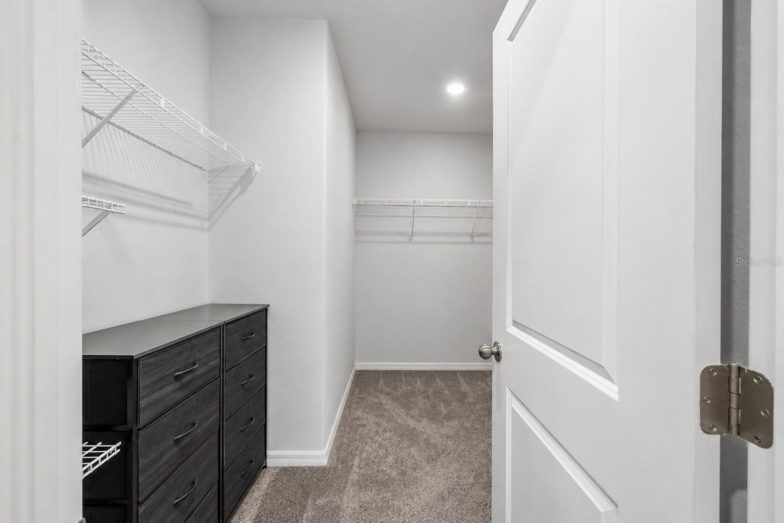 3703 GLOBE THISTLE DR — photo 14