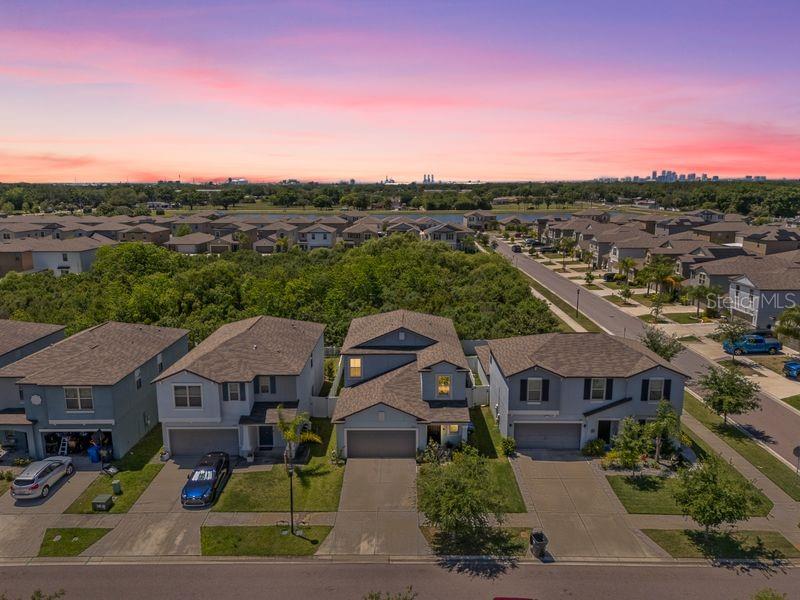 3703 GLOBE THISTLE DR — photo 27