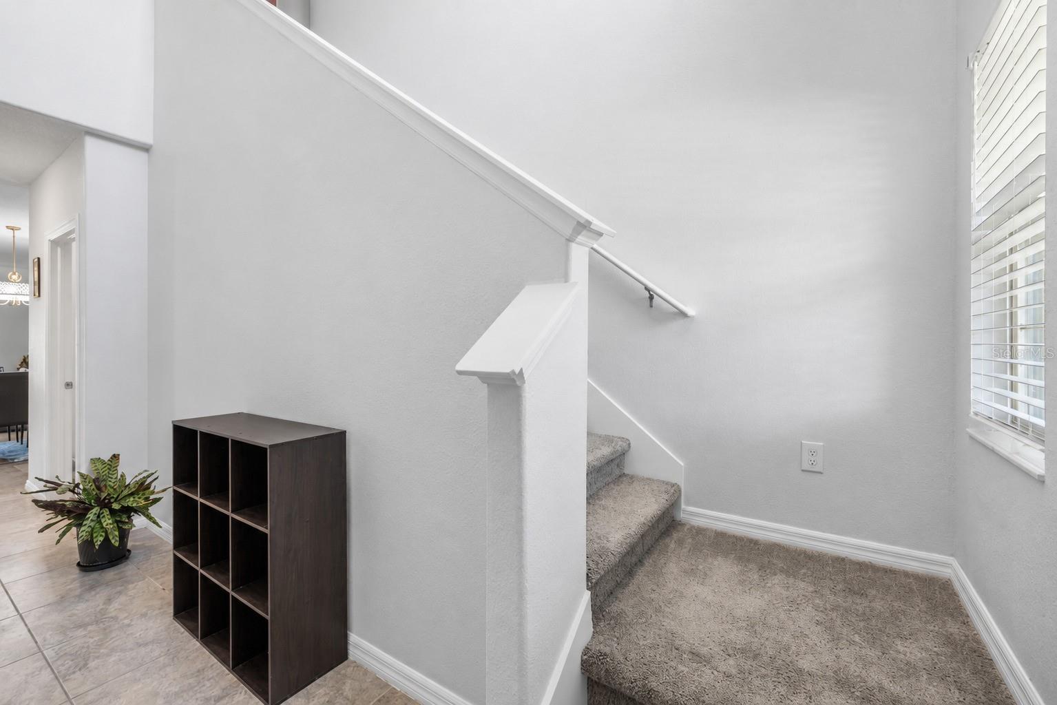 3703 GLOBE THISTLE DR — photo 6