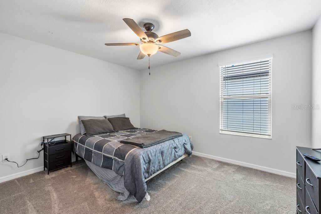 3703 GLOBE THISTLE DR — photo 23