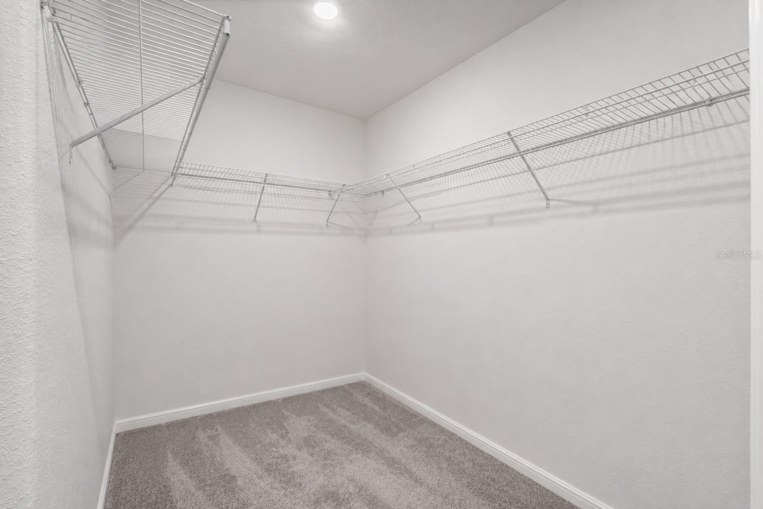 3703 GLOBE THISTLE DR — photo 15