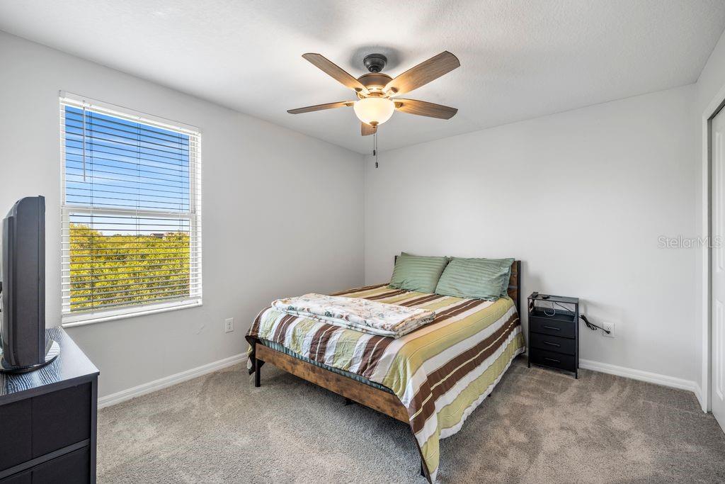 3703 GLOBE THISTLE DR — photo 21