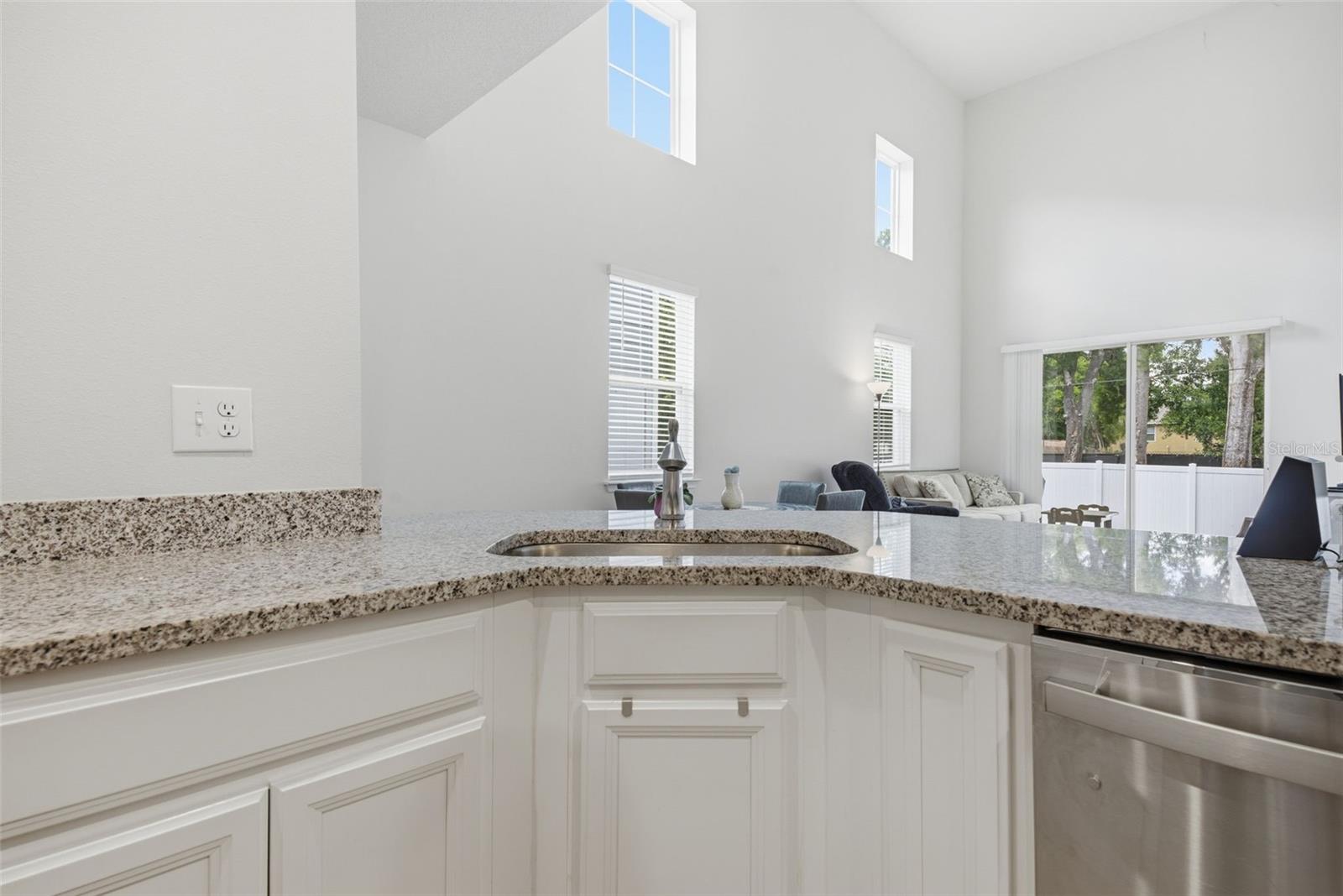 2130 LACEFLOWER DR — photo 4