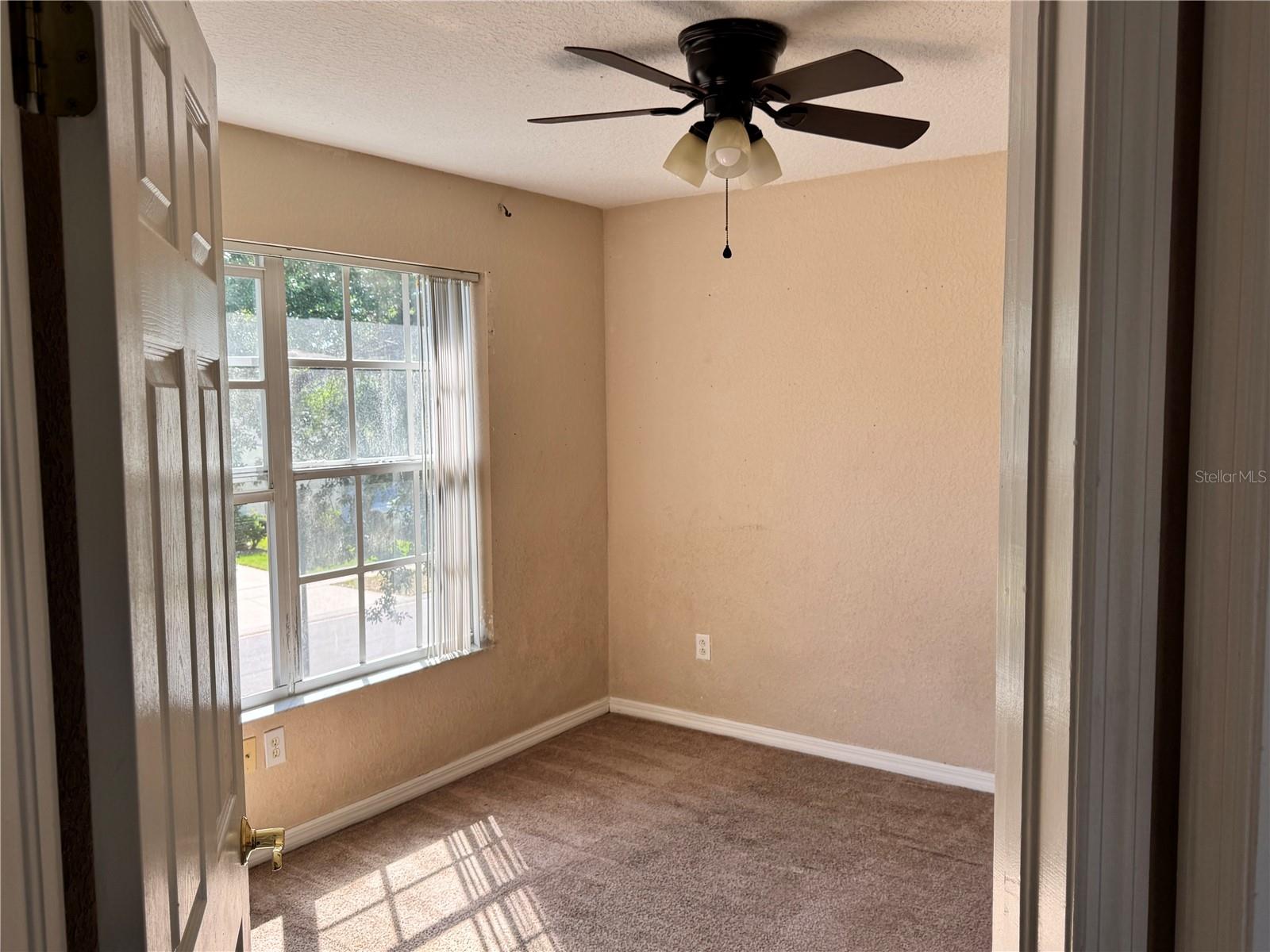 9023 PINEBREEZE DR — photo 15