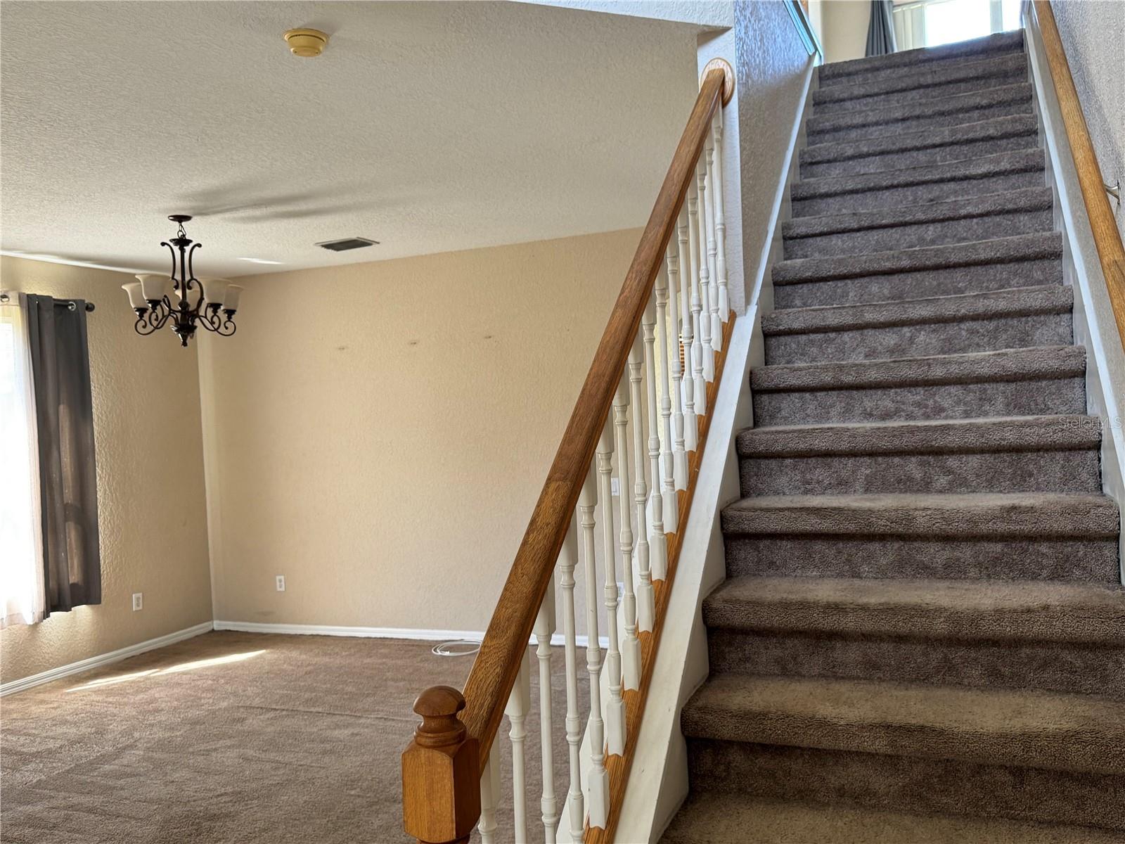 9023 PINEBREEZE DR — photo 9