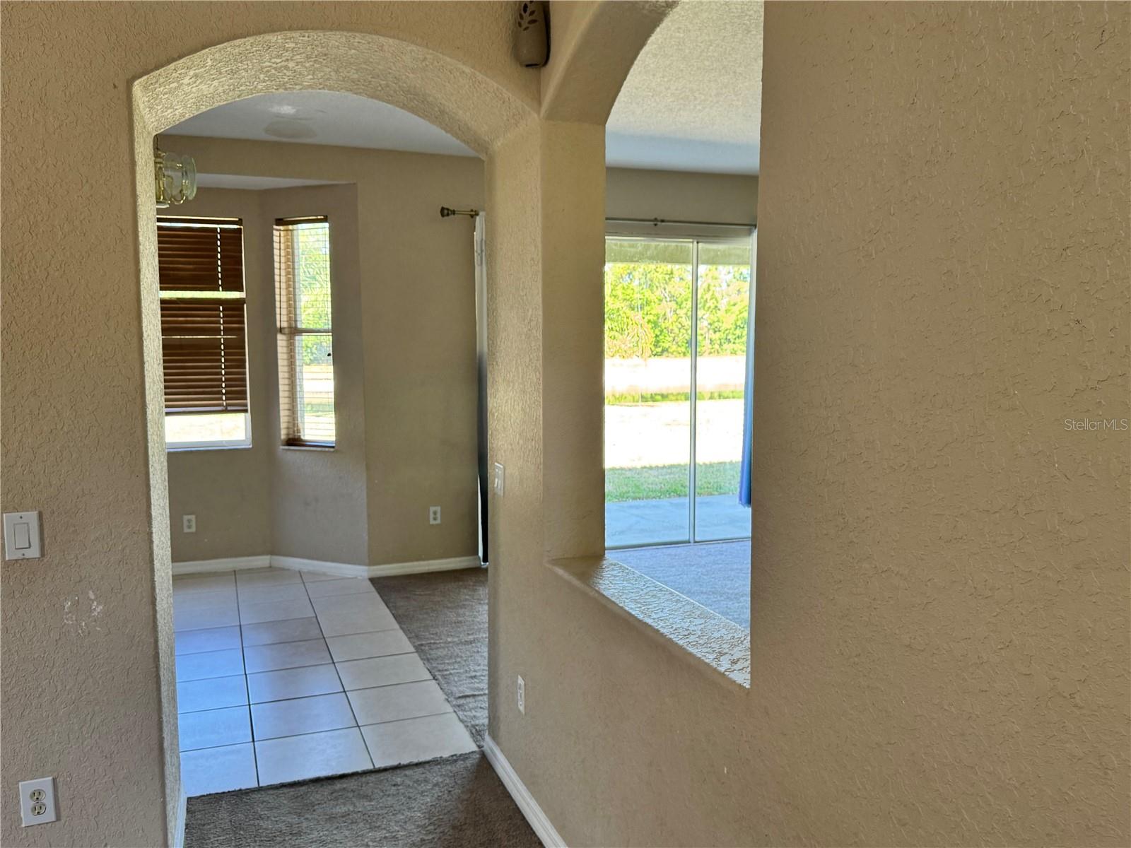 9023 PINEBREEZE DR — photo 5