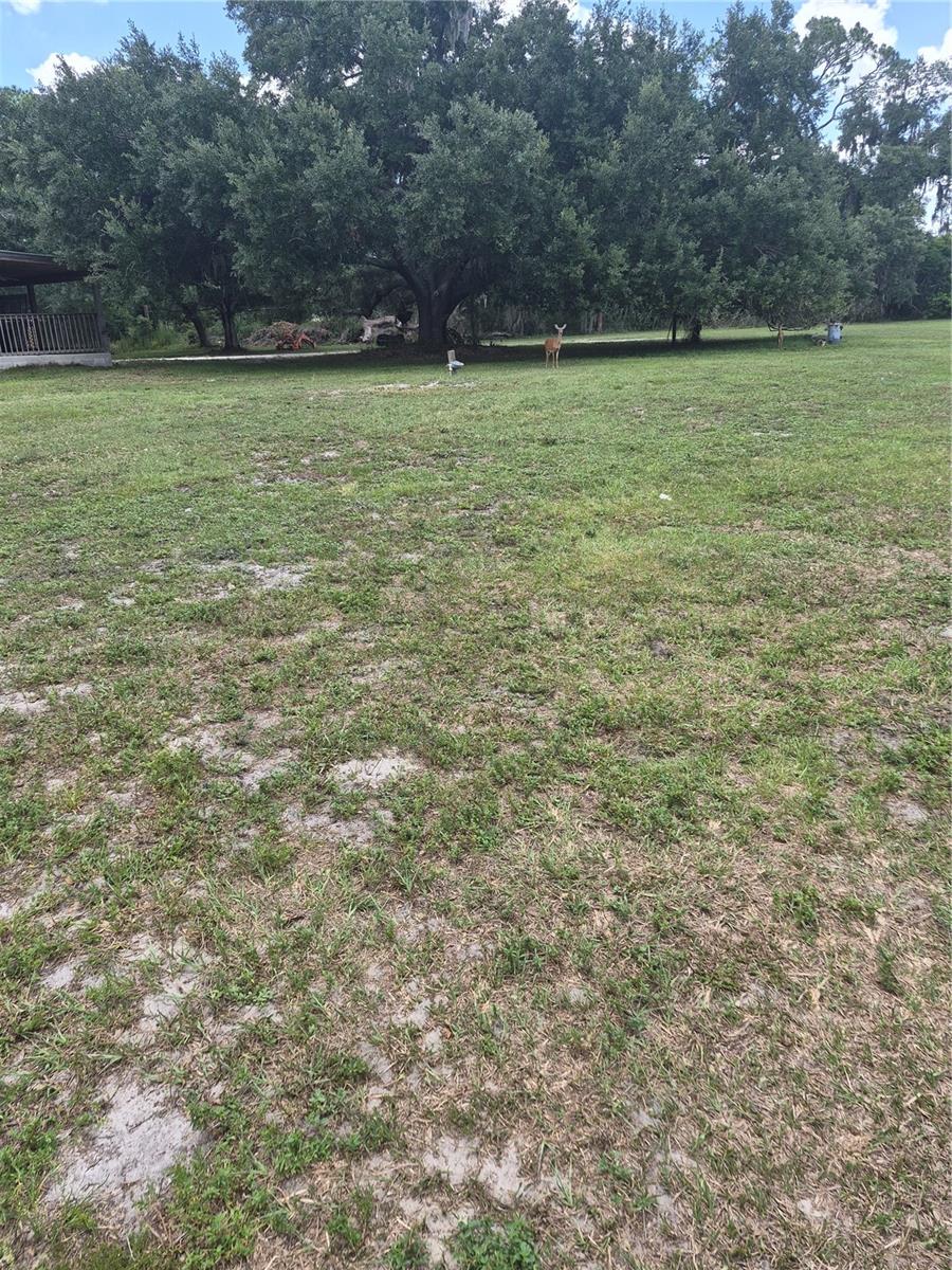 15750 WILSON RD — photo 44