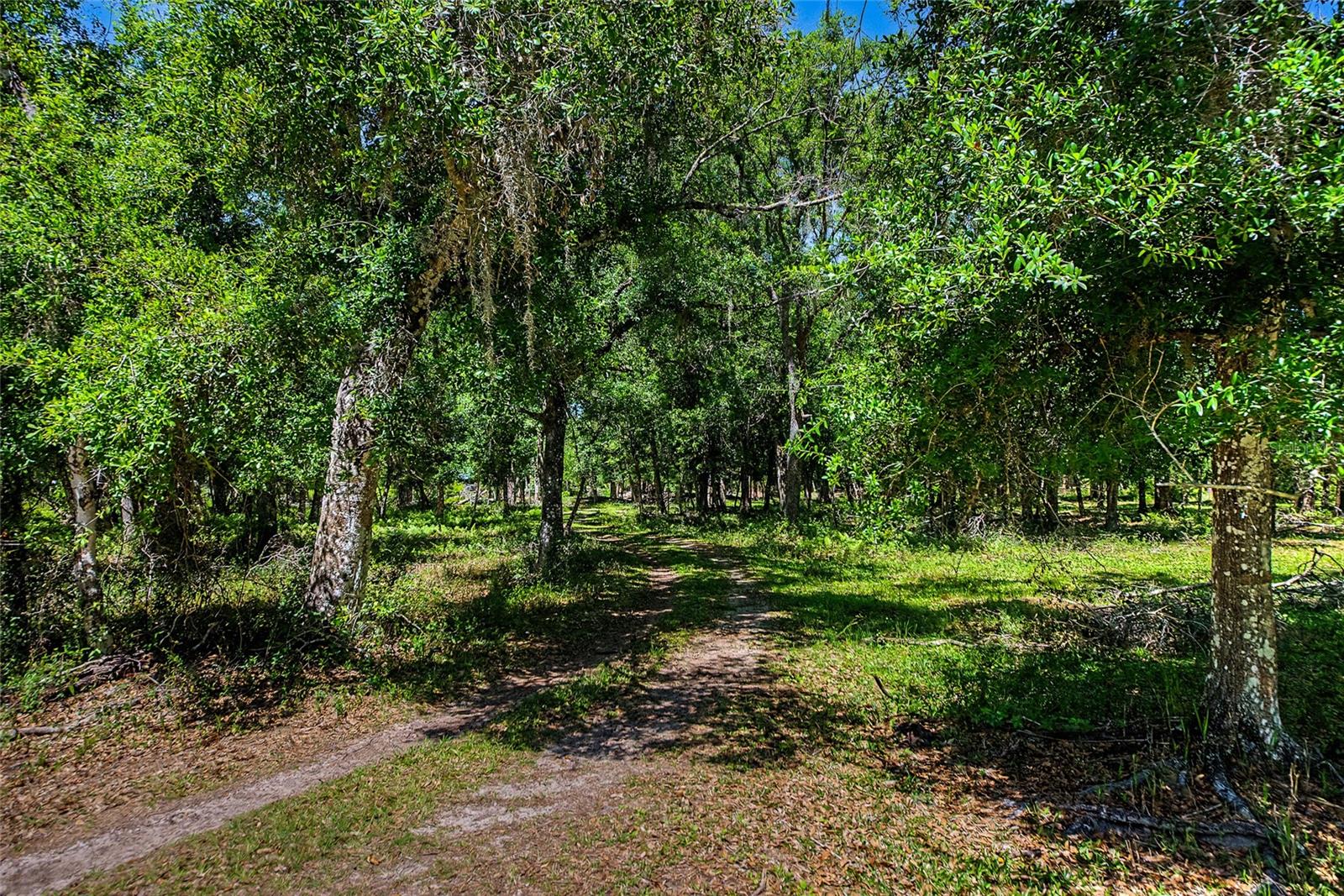 15750 WILSON RD — photo 41