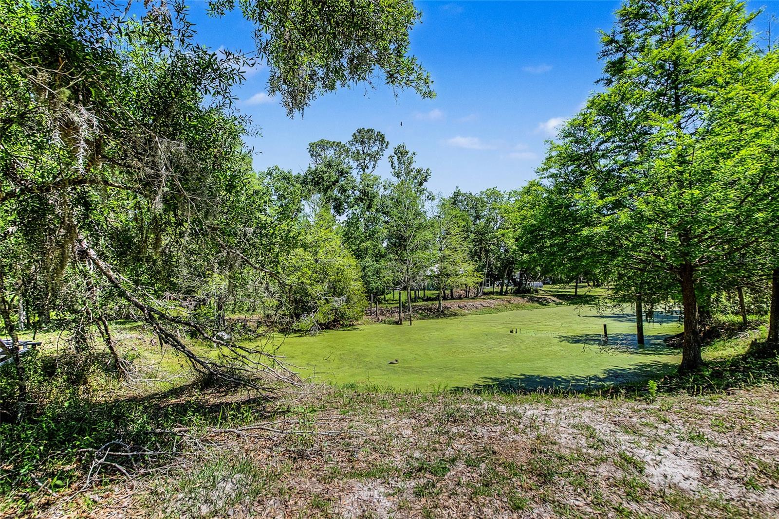 15750 WILSON RD — photo 15
