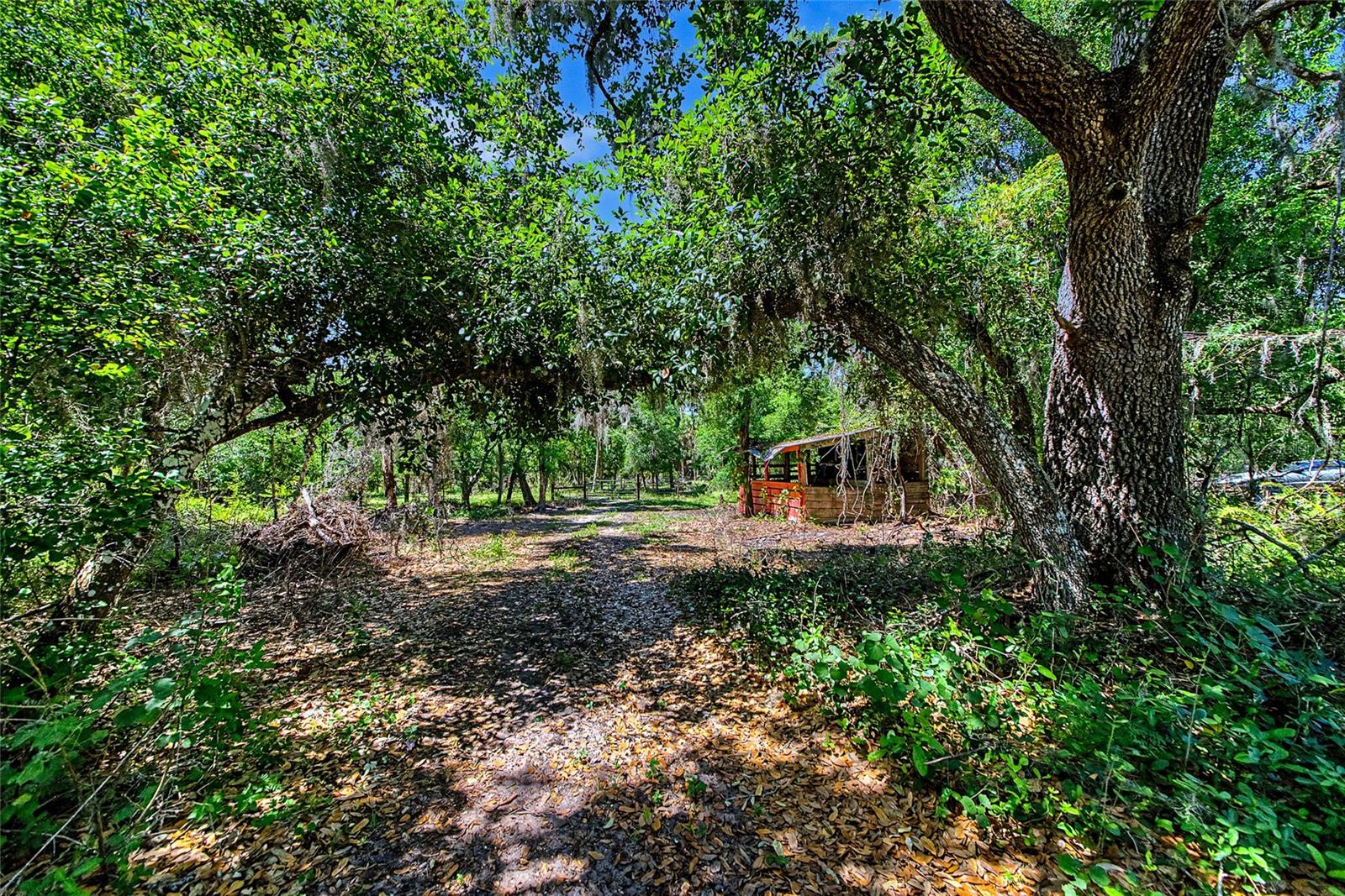 15750 WILSON RD — photo 13