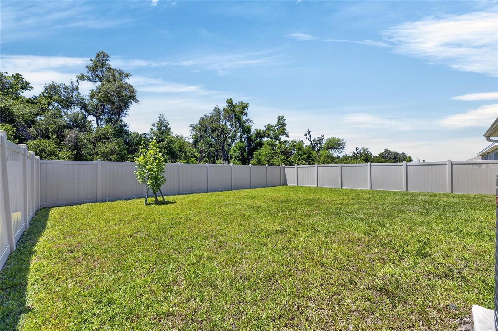 3255 SILVER DATE DR — photo 49
