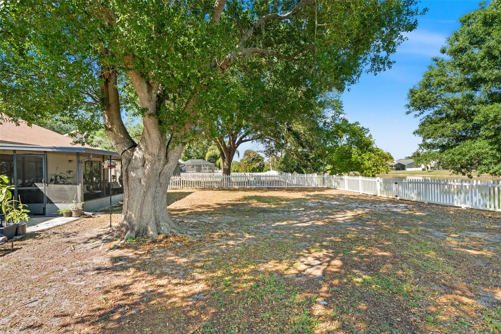 12908 LONGCREST DR — photo 28