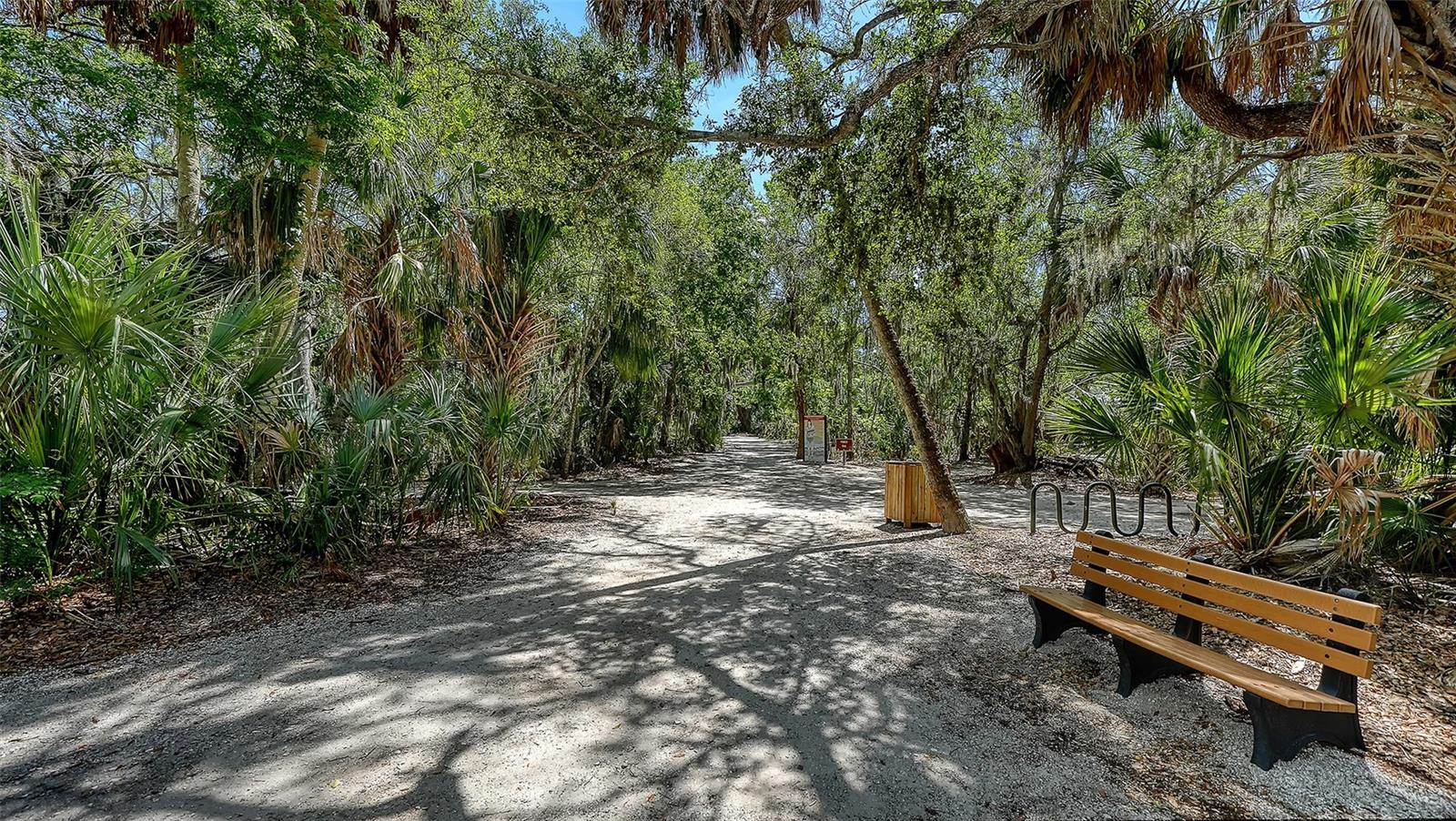 4506 PINFISH LN — photo 48