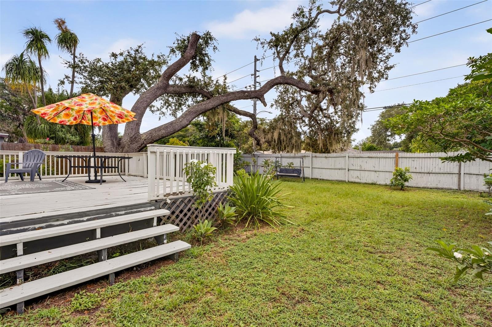 519 NORFOLK ST — photo 25