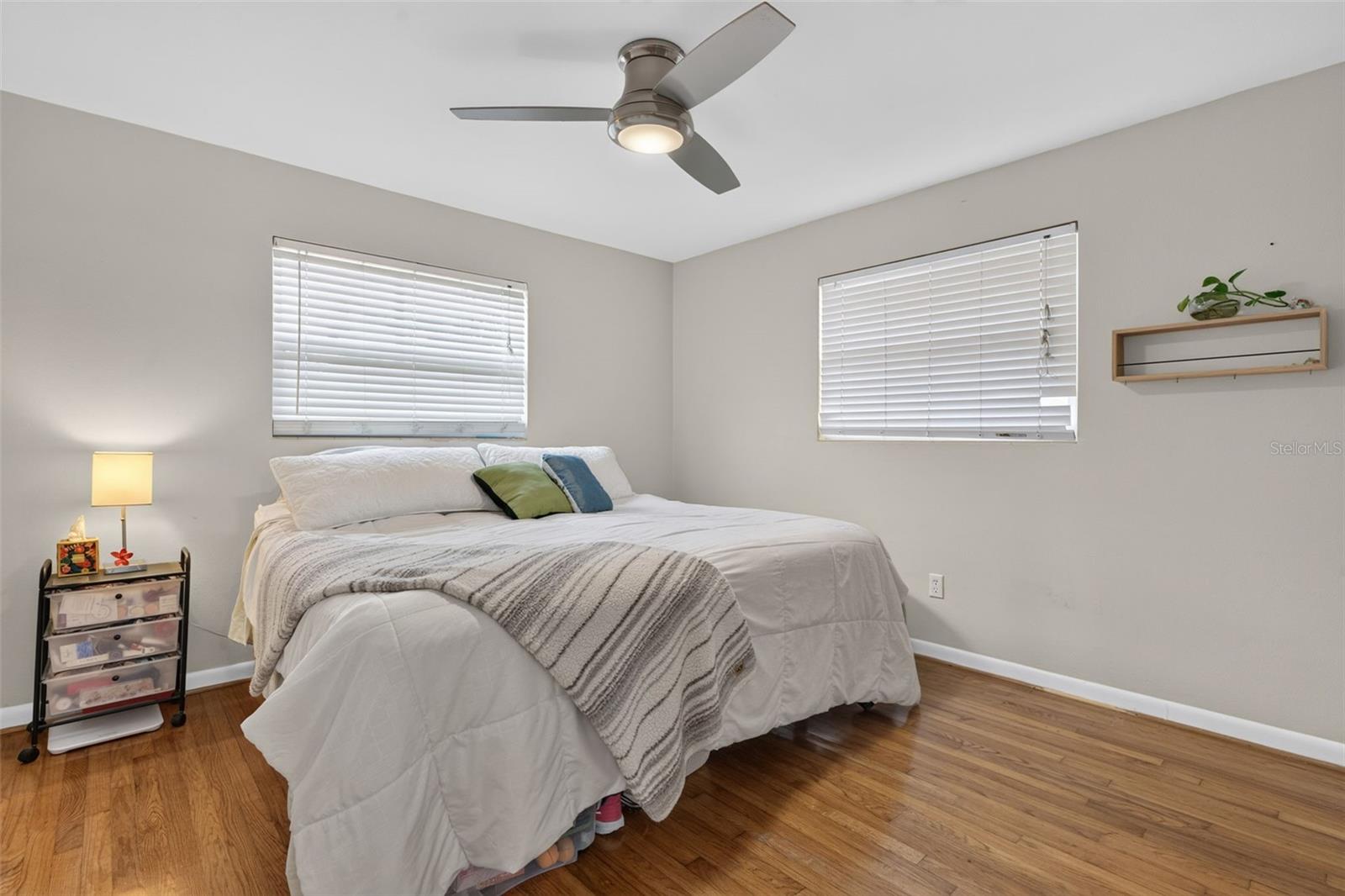 519 NORFOLK ST — photo 14
