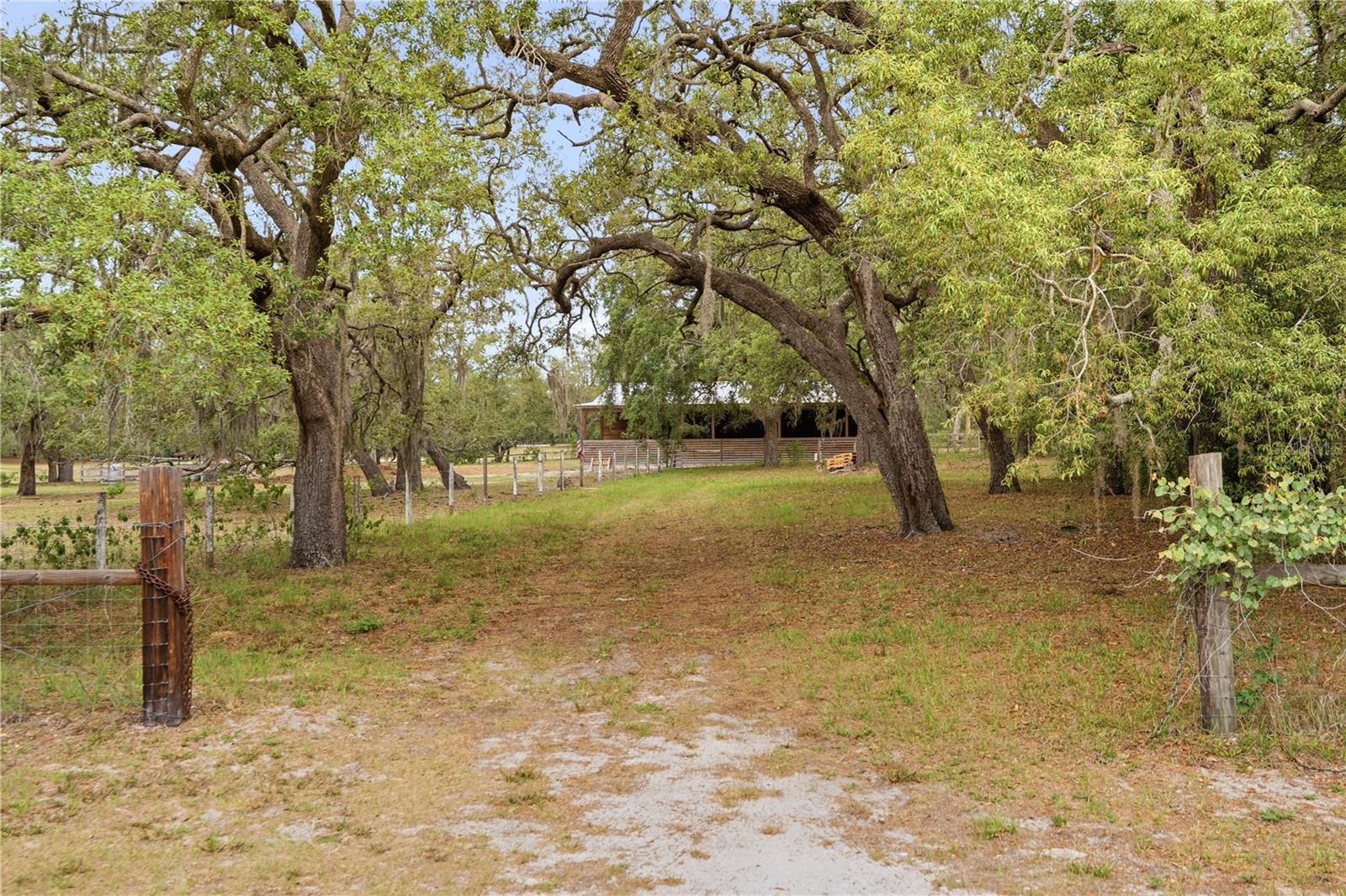 14405 AMY LN — photo 9