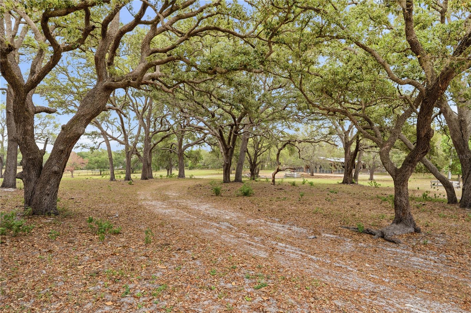 14405 AMY LN — photo 7