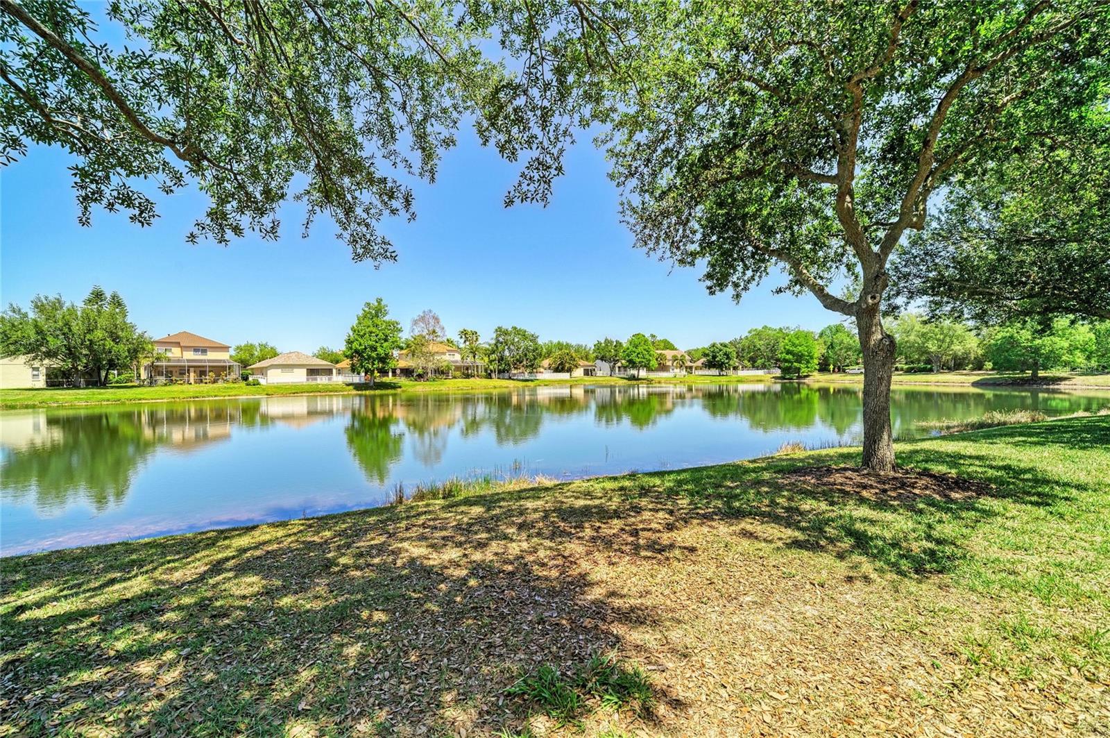 14830 SKIP JACK LOOP — photo 35