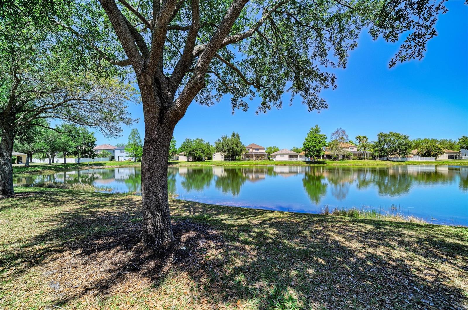 14830 SKIP JACK LOOP — photo 34