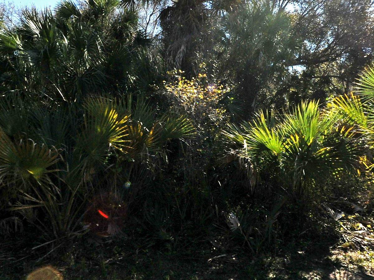 LAKEPORT ST — photo 2