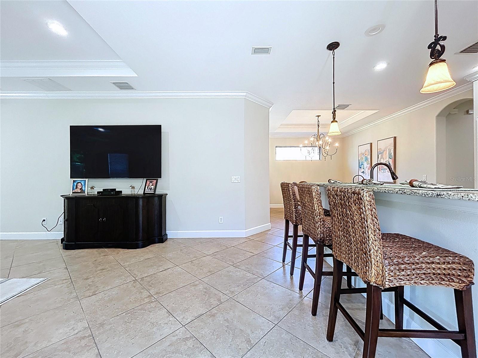 5102 SAVONA RUN — photo 9