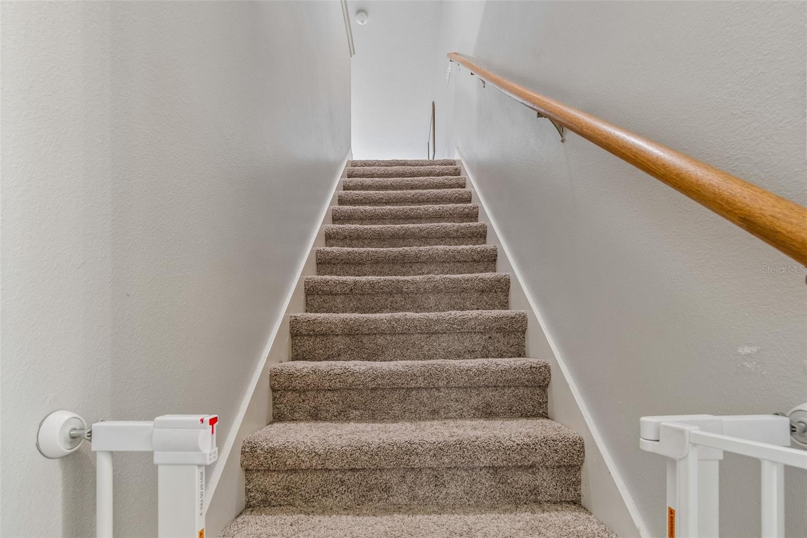 2336 NESSLEWOOD DR — photo 50