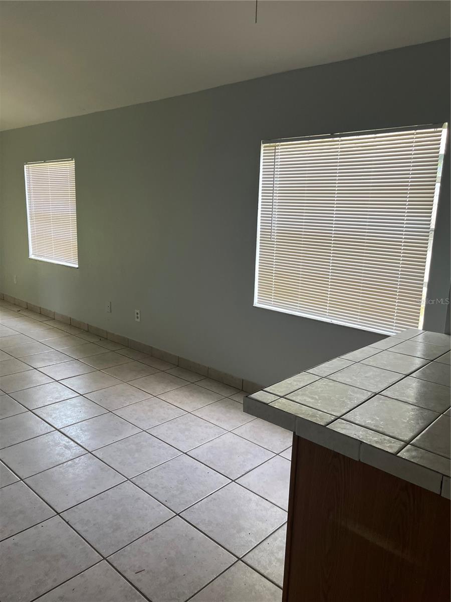 4843 BILLY DIRECT LN — photo 8