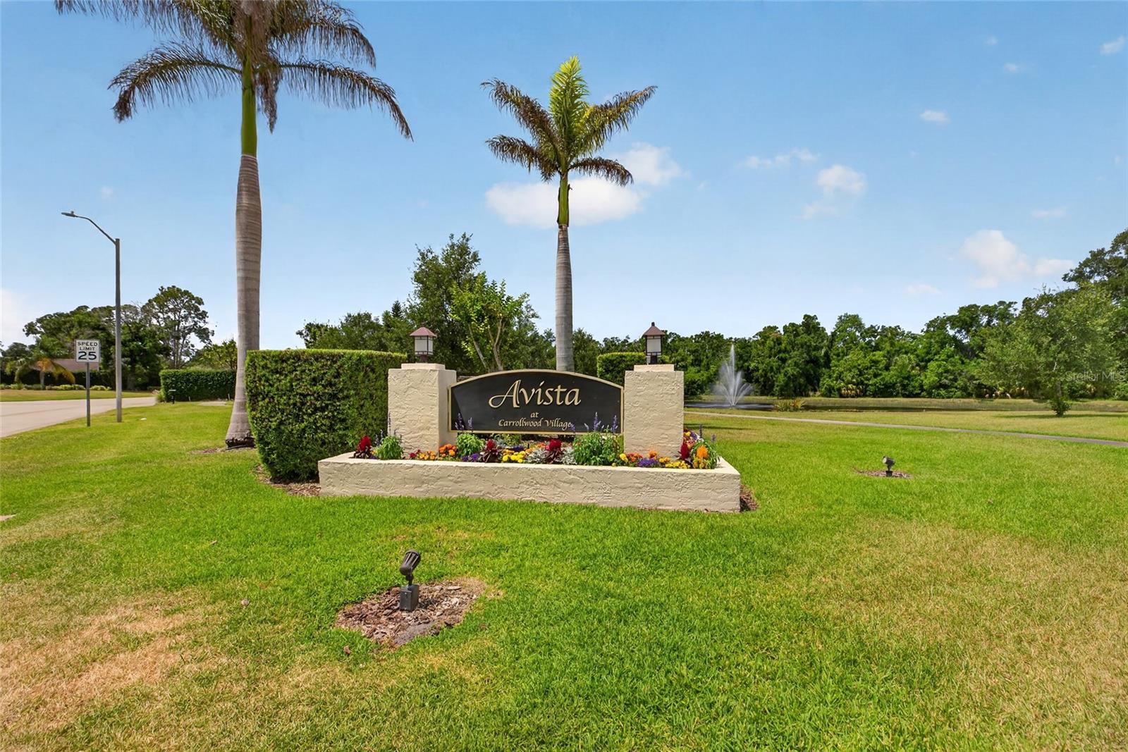 13522 AVISTA DR — photo 63
