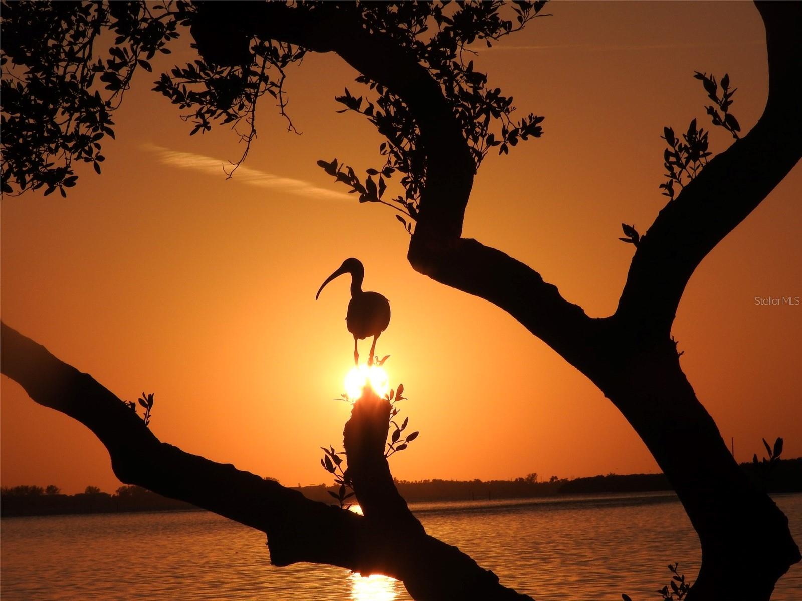 4857 INDEPENDENCE DR — photo 68