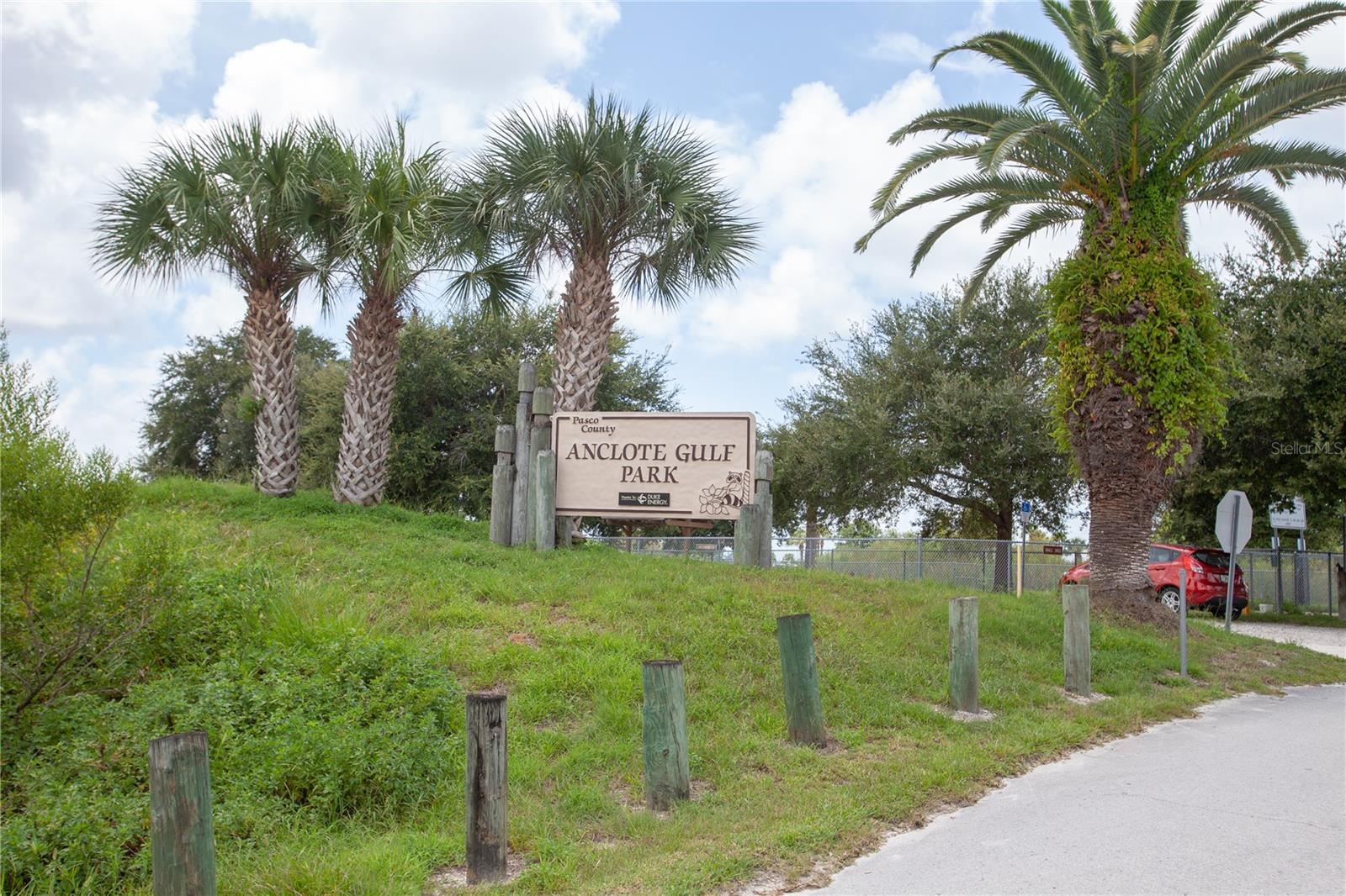 2815 WOOD POINTE DR — photo 81