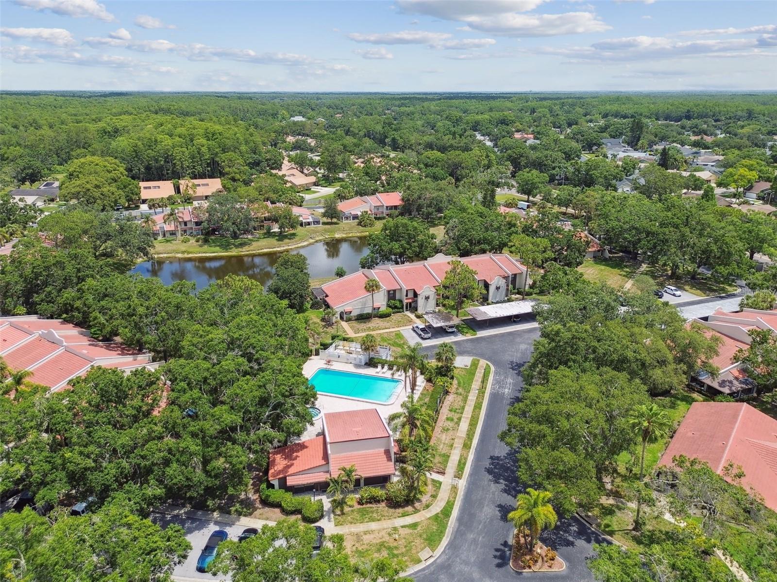 3505 TARPON WOODS BLVD #P404 — photo 55
