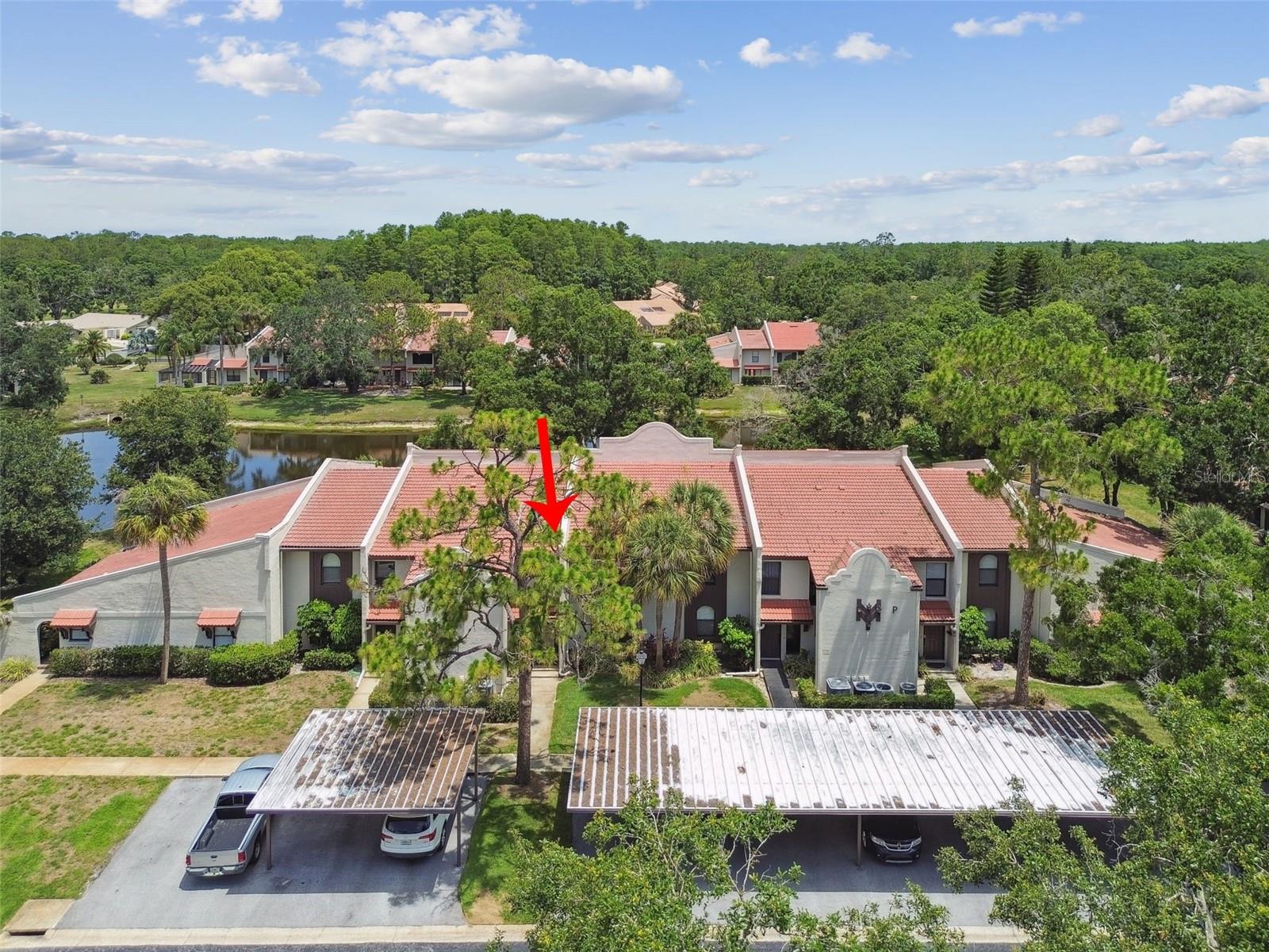 3505 TARPON WOODS BLVD #P404 — photo 50