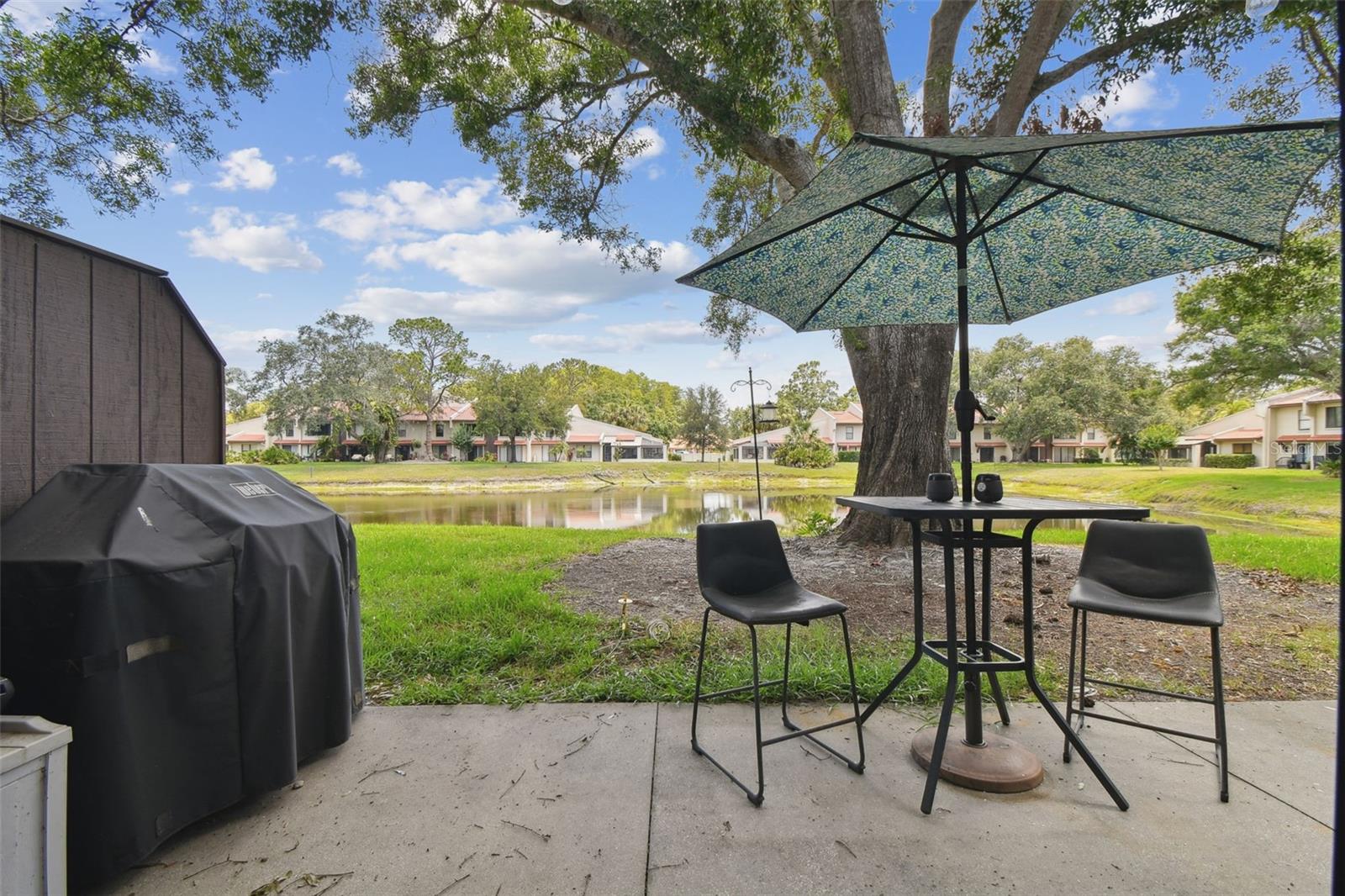 3505 TARPON WOODS BLVD #P404 — photo 41
