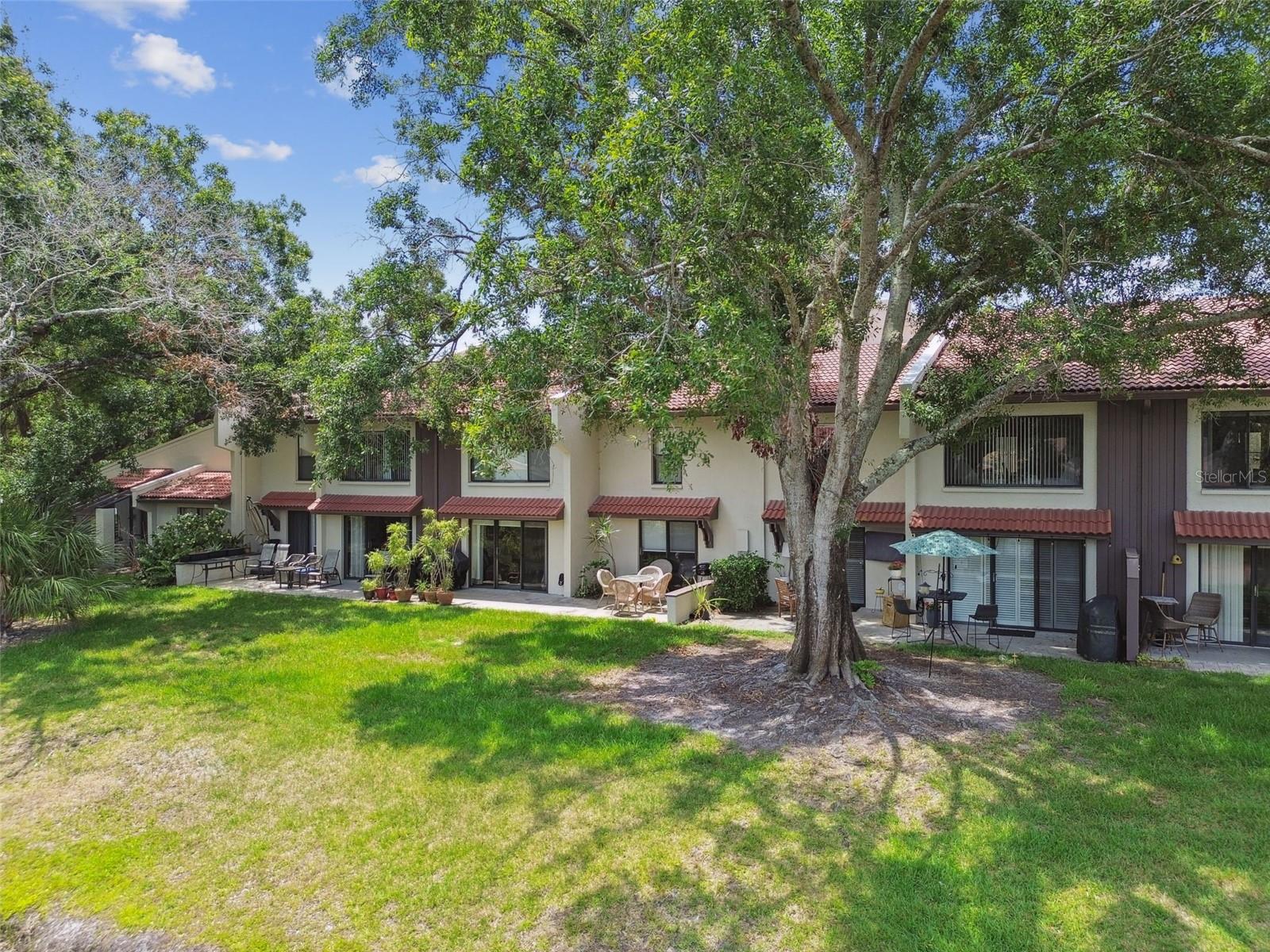 3505 TARPON WOODS BLVD #P404 — photo 54