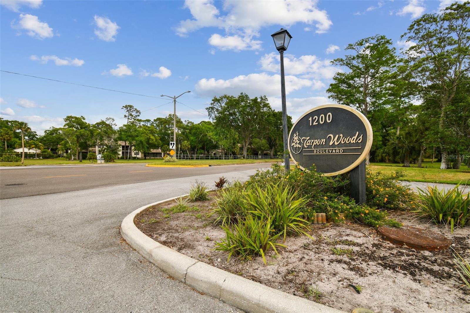 3505 TARPON WOODS BLVD #P404 — photo 57