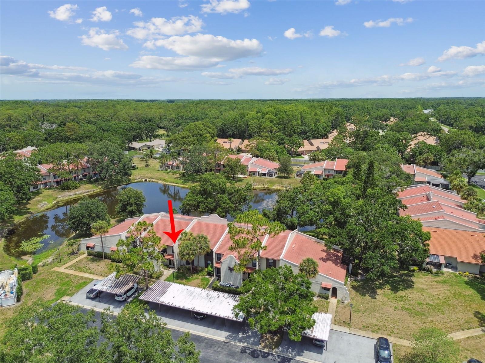 3505 TARPON WOODS BLVD #P404 — photo 51