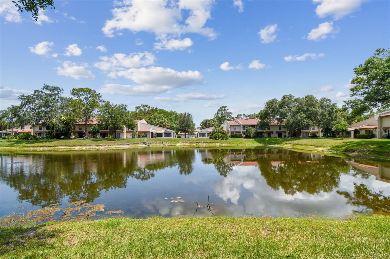 3505 TARPON WOODS BLVD #P404 — photo 47