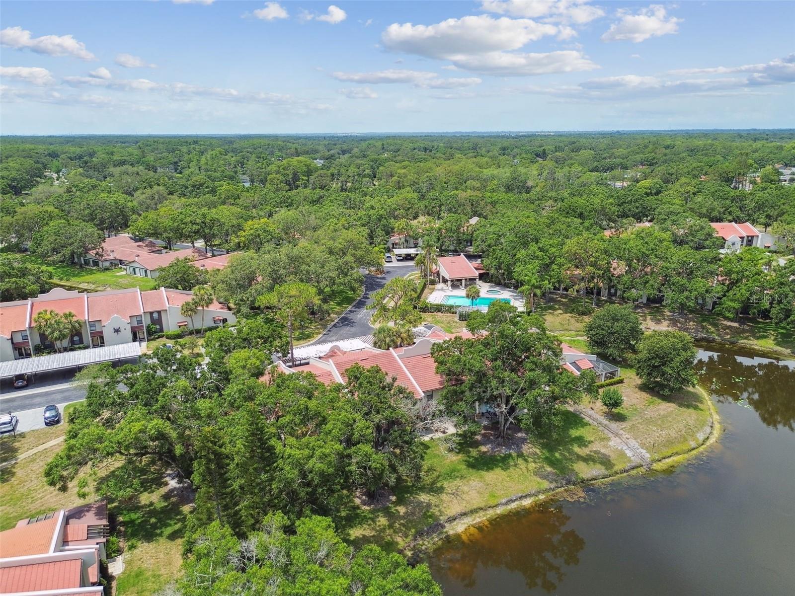 3505 TARPON WOODS BLVD #P404 — photo 52