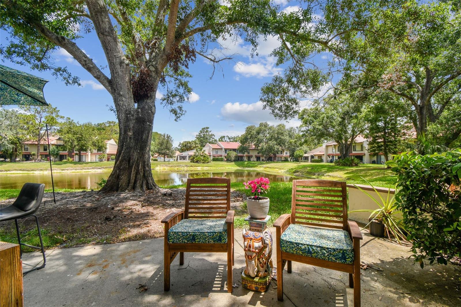 3505 TARPON WOODS BLVD #P404 — photo 45