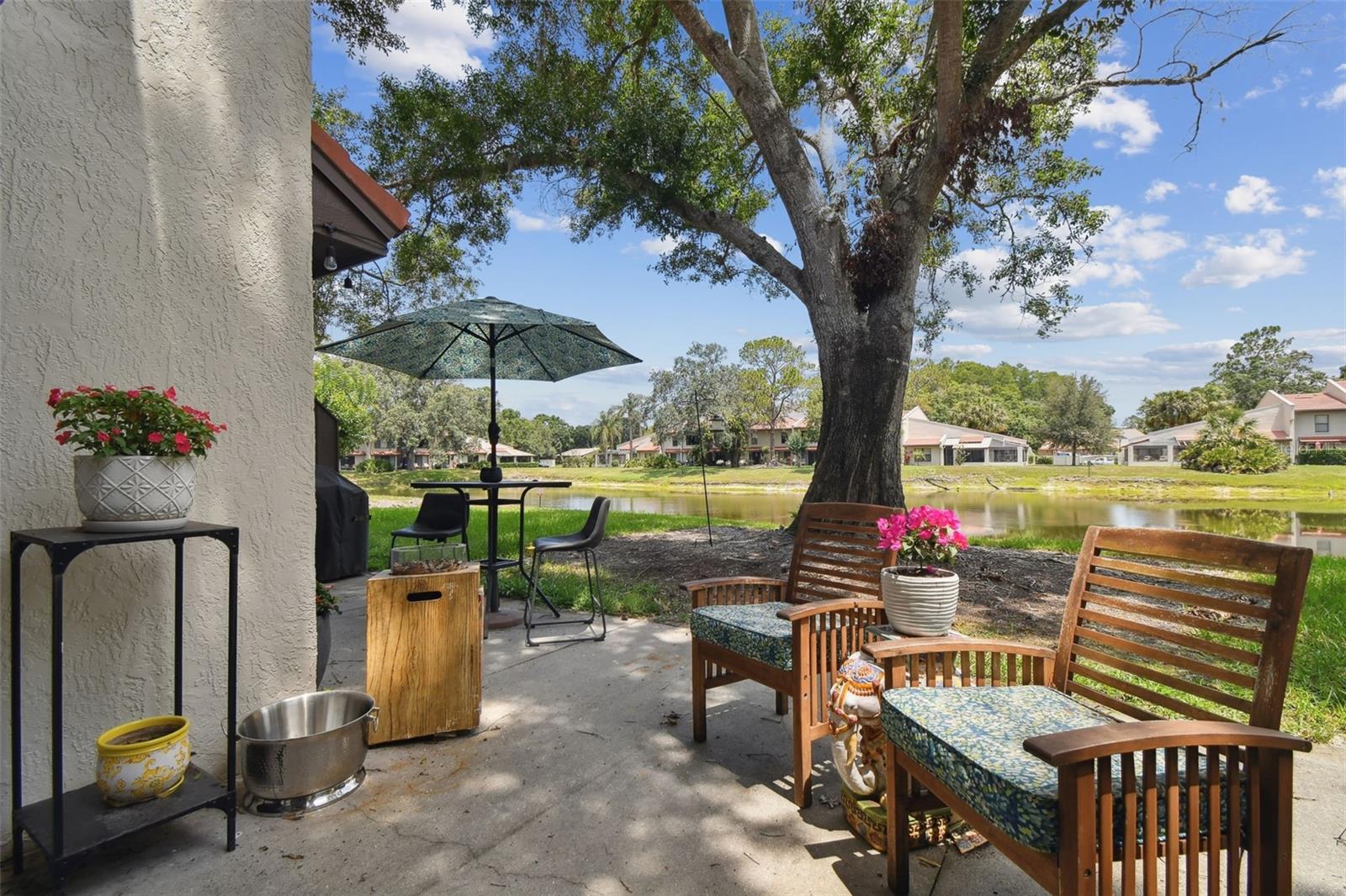 3505 TARPON WOODS BLVD #P404 — photo 46