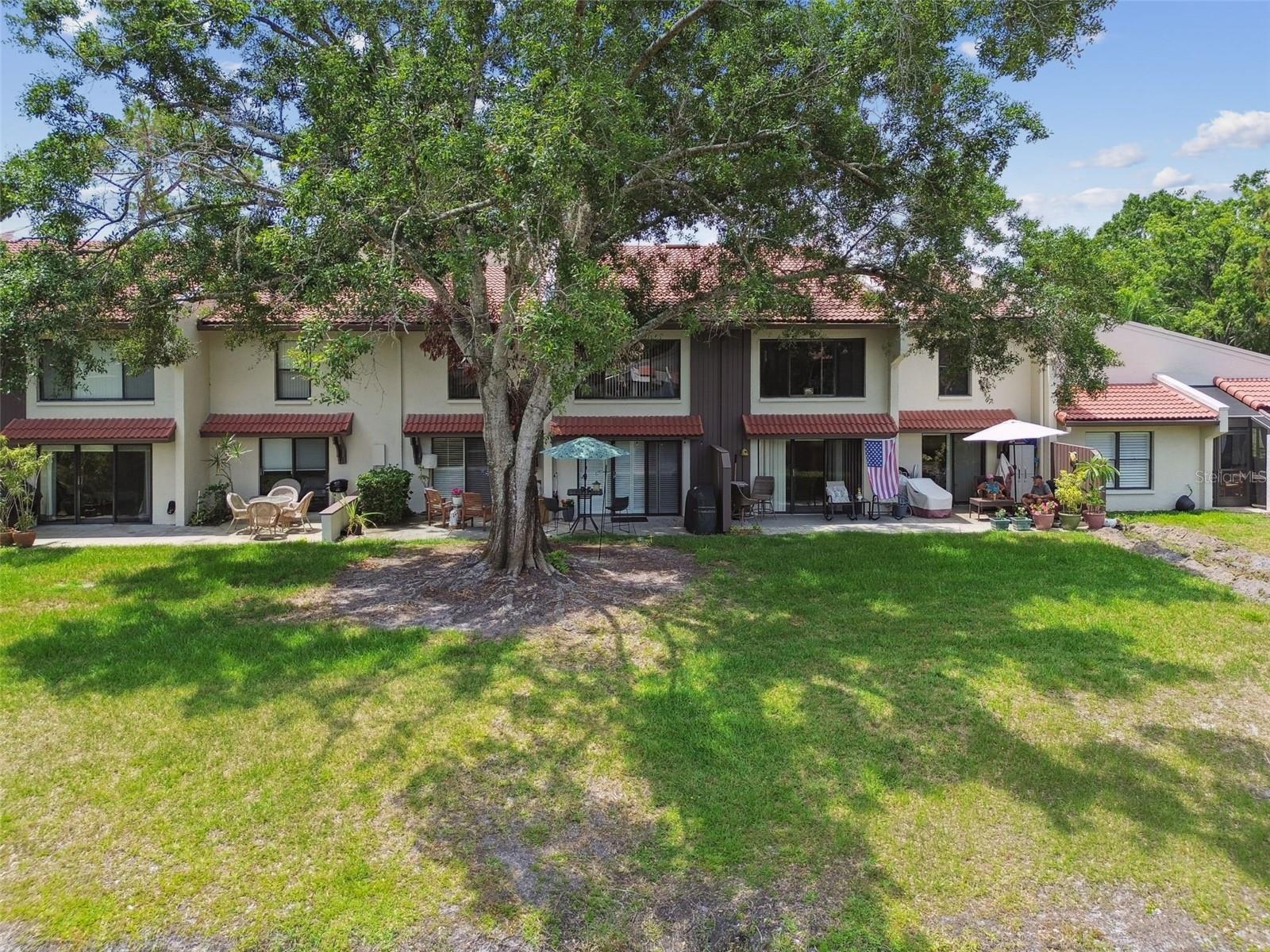 3505 TARPON WOODS BLVD #P404 — photo 53