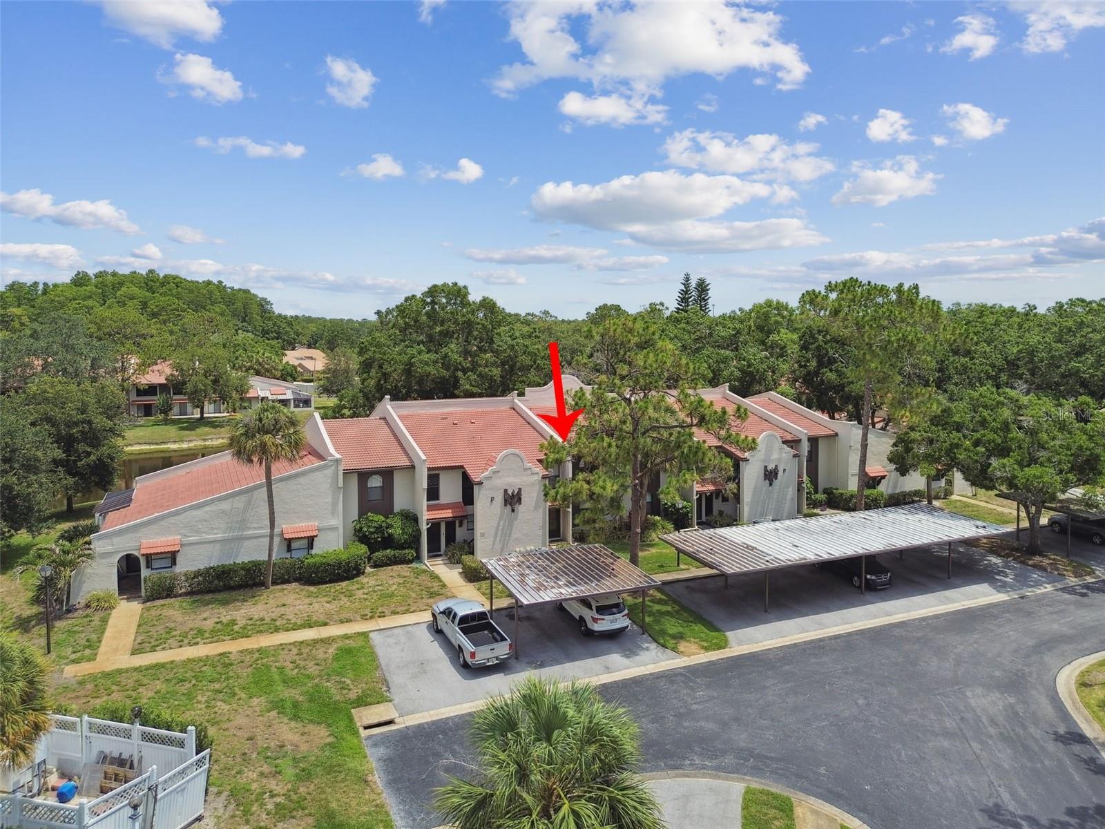 3505 TARPON WOODS BLVD #P404 — photo 49