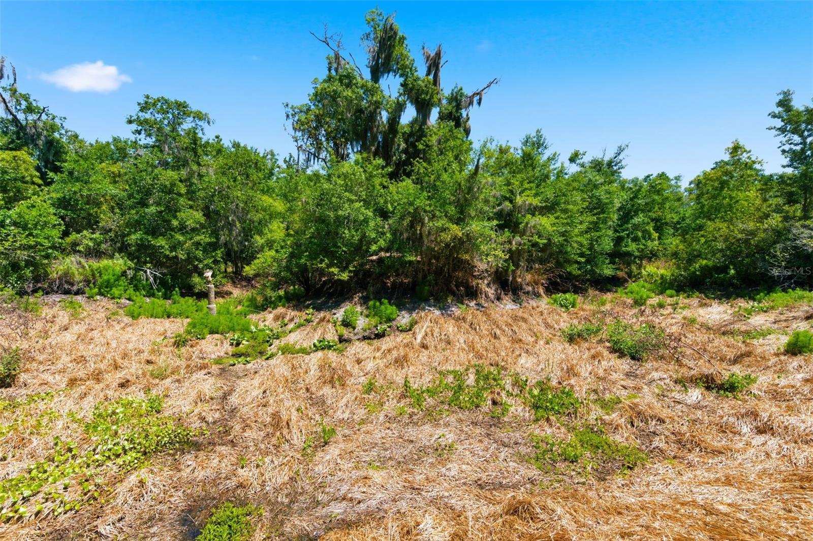 19084 RED BIRD LN #LOT 5 — photo 11